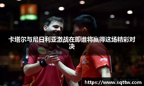 卡塔尔与尼日利亚激战在即谁将赢得这场精彩对决